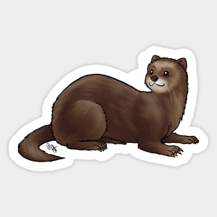 Ferret - Chocolate Sticker